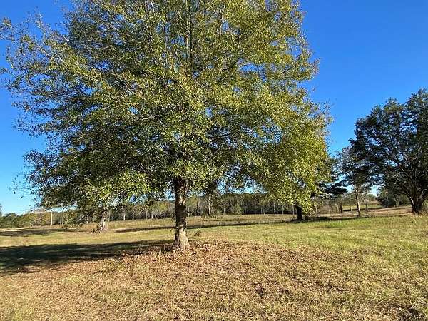 4.6 Acres of Residential Land for Sale in Carriere, Mississippi