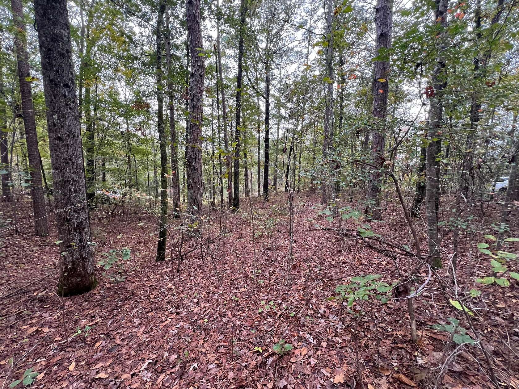 1.3 Acres of Residential Land for Sale in Arley, Alabama