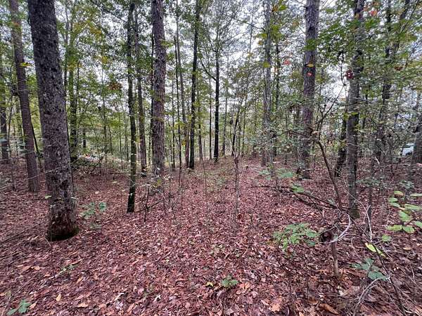 1.3 Acres of Residential Land for Sale in Arley, Alabama