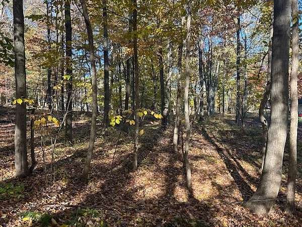 0.39 Acres of Land for Sale in Canadian Lakes, Michigan