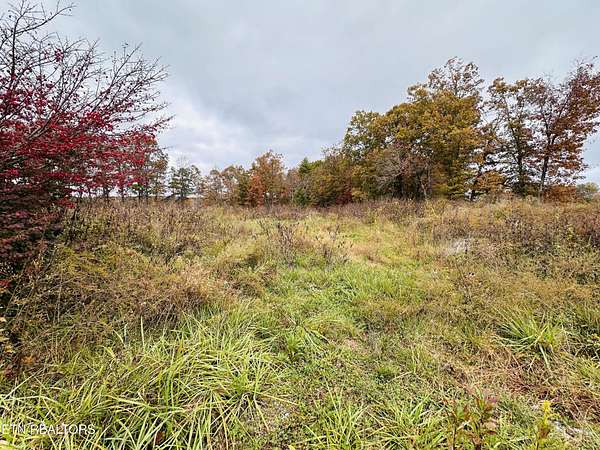 4.14 Acres of Land for Sale in Deer Lodge, Tennessee