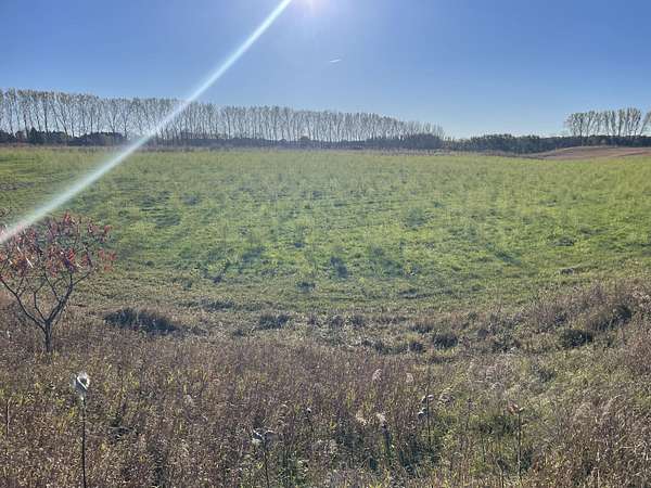 5 Acres of Residential Land for Sale in Shelby, Michigan