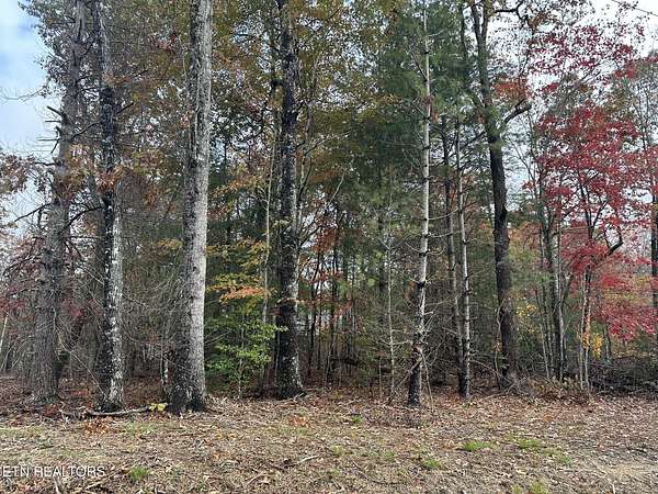 0.25 Acres of Residential Land for Sale in Fairfield Glade, Tennessee