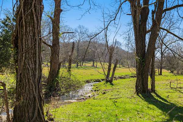 561 Acres of Recreational Land & Farm for Sale in Petersburg, Tennessee