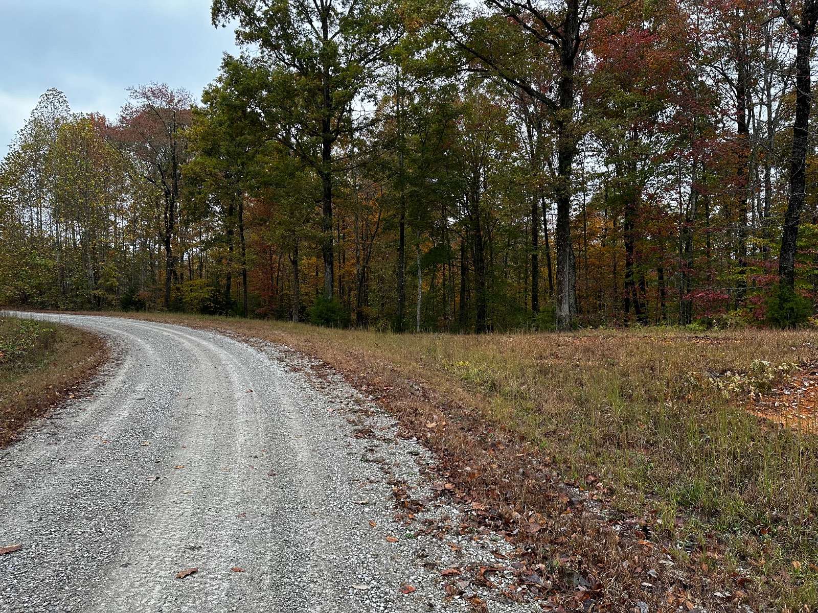 2 Acres of Residential Land for Sale in Monticello, Kentucky