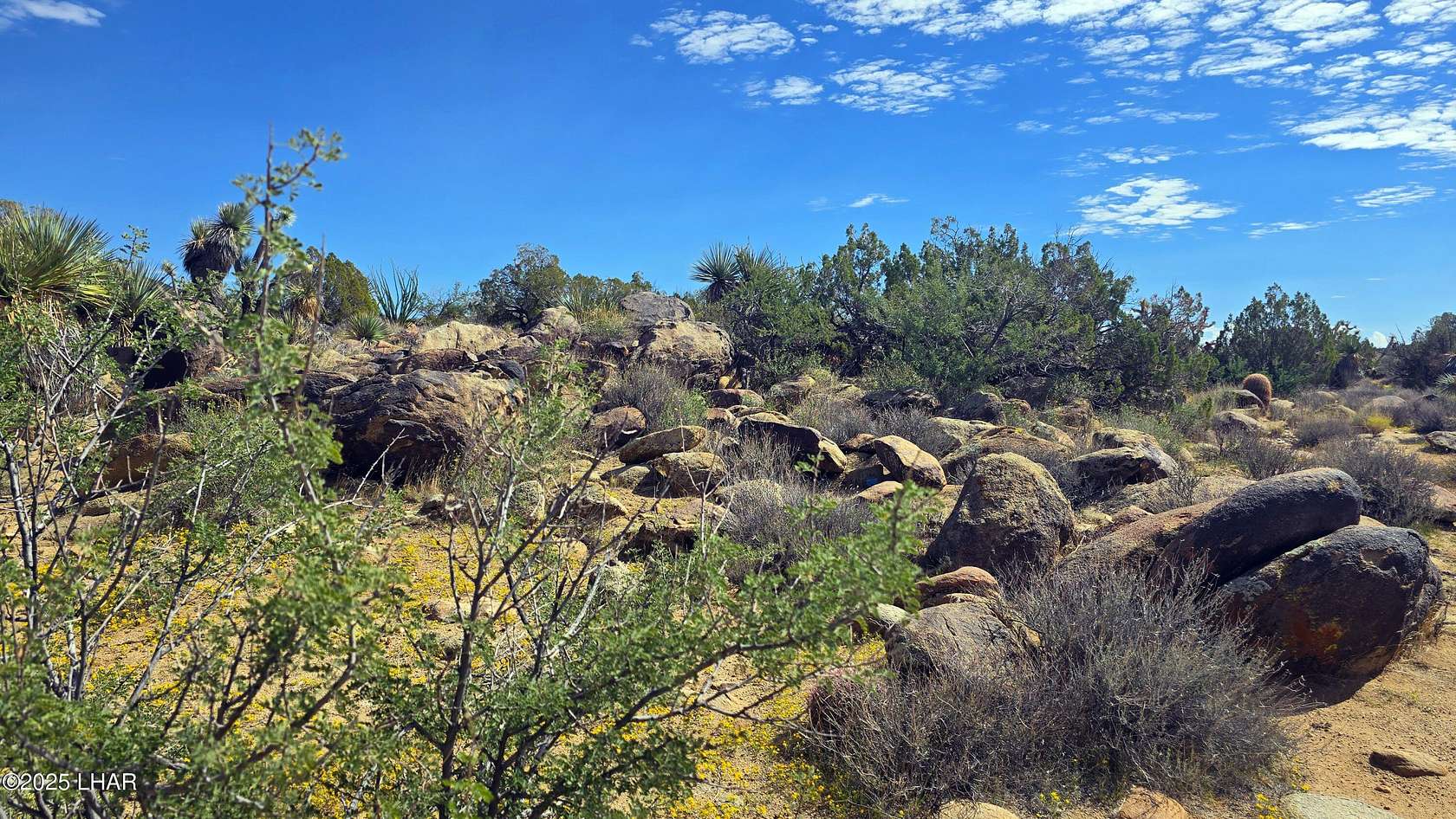 161 Acres of Recreational Land for Sale in Yucca, Arizona