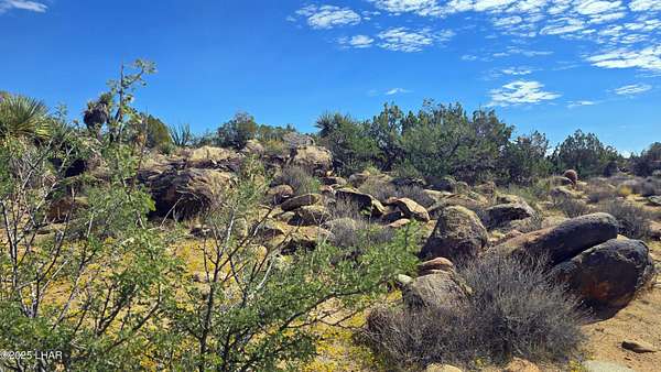 161 Acres of Recreational Land for Sale in Yucca, Arizona