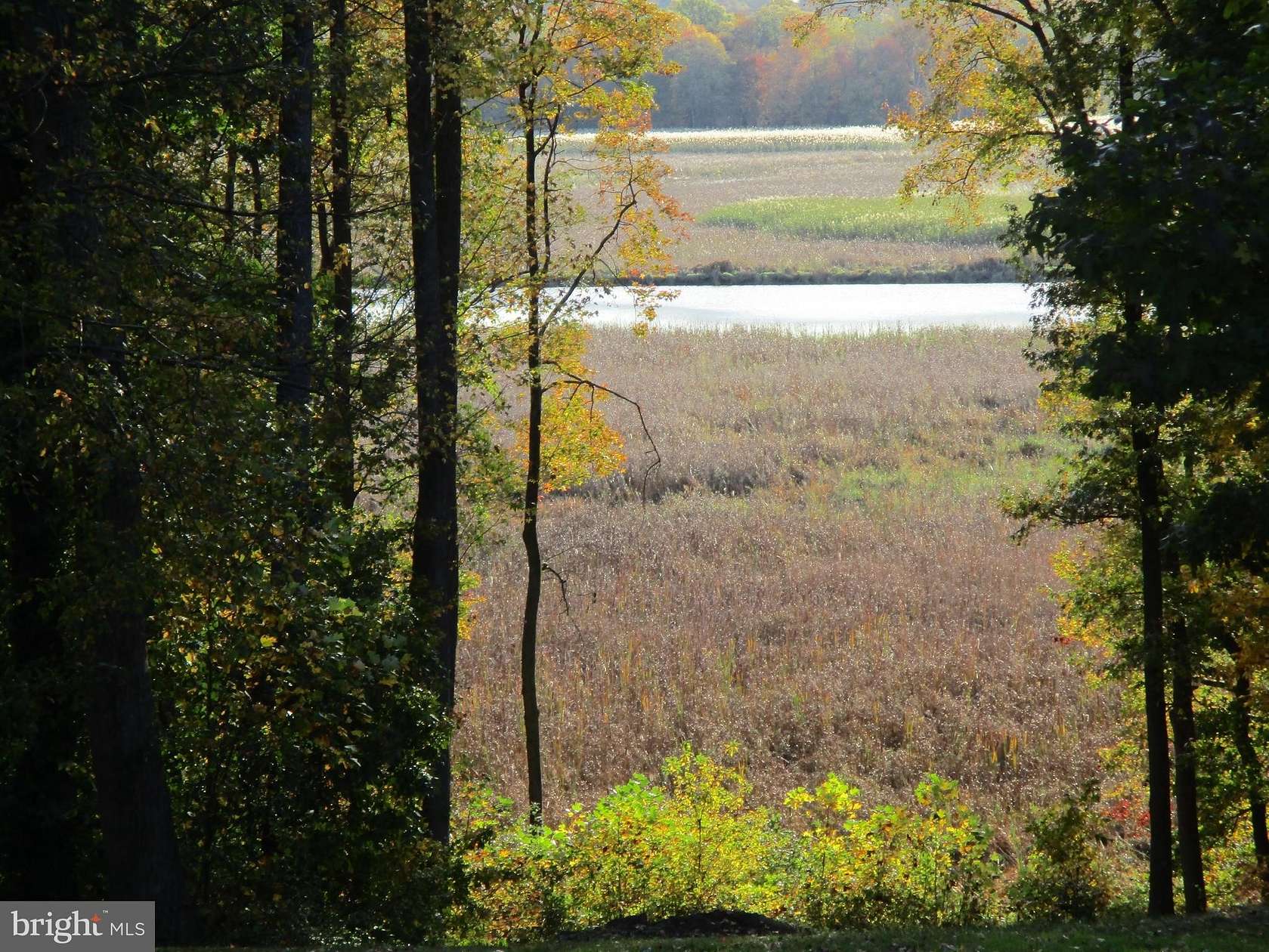 9.85 Acres of Residential Land for Sale in Elkton, Maryland