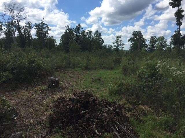 19 Acres of Recreational Land for Sale in Thornfield, Missouri