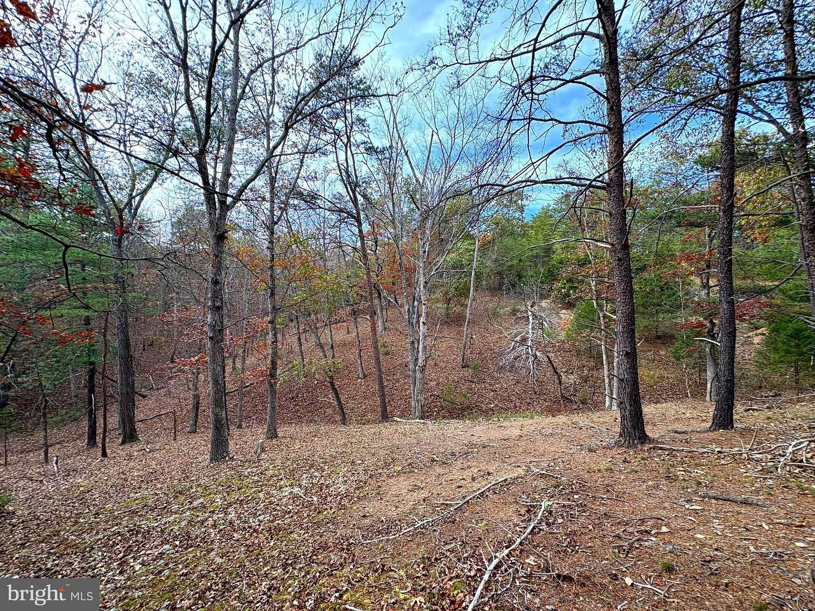 7 Acres of Land for Sale in Purgitsville, West Virginia