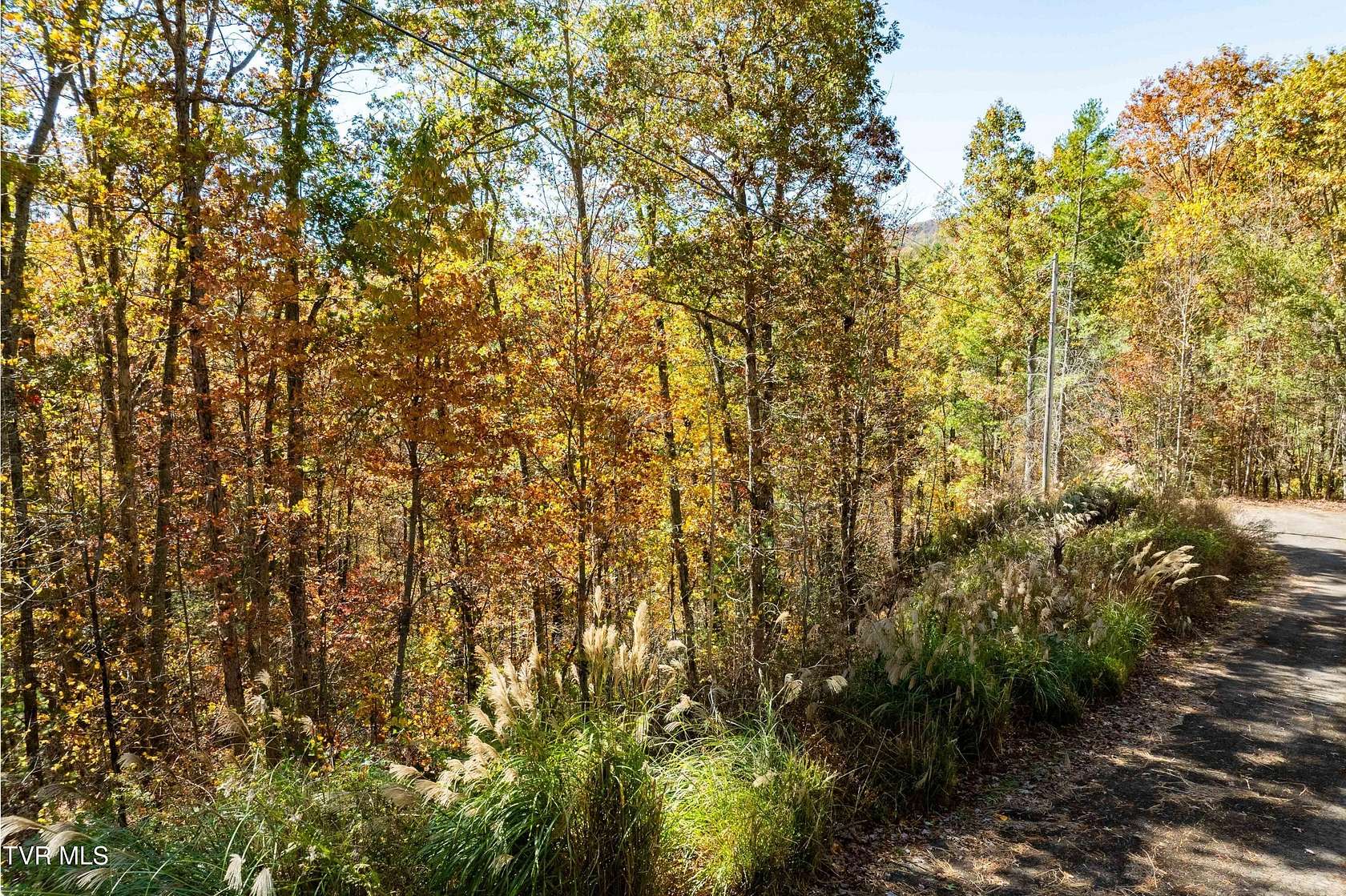 2.25 Acres of Residential Land for Sale in Mountain City, Tennessee