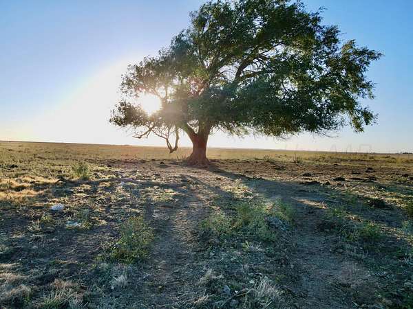 826 Acres of Land for Sale in Adrian, Texas