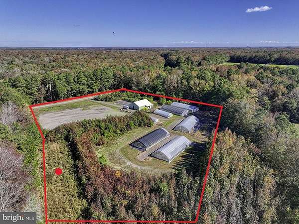 5.69 Acres of Improved Land for Sale in Selbyville, Delaware