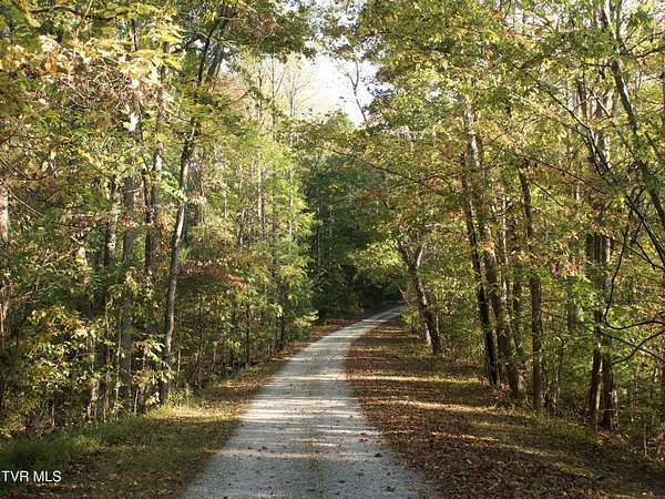 46.3 Acres of Recreational Land for Sale in Oneida, Tennessee