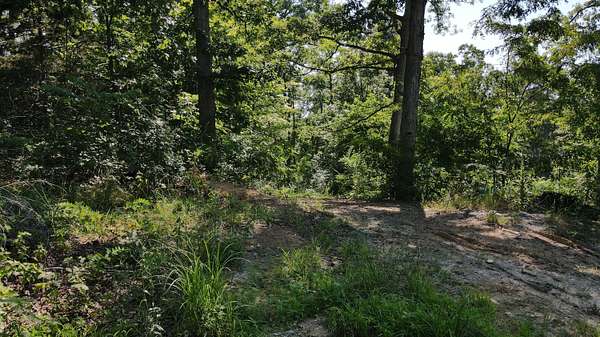 10 Acres of Recreational Land for Sale in Stamping Ground, Kentucky