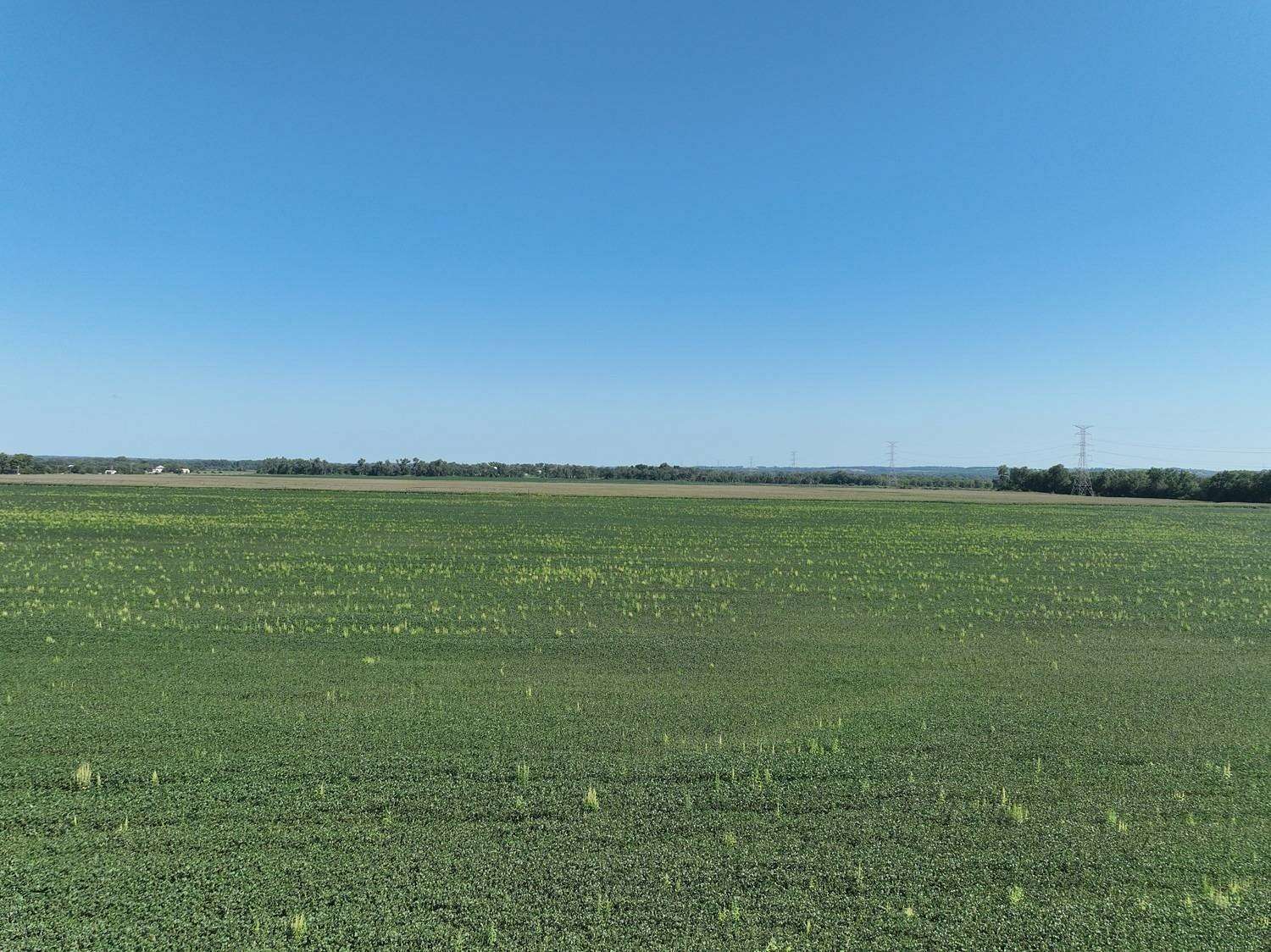241 Acres of Agricultural Land for Sale in Norfolk, Nebraska