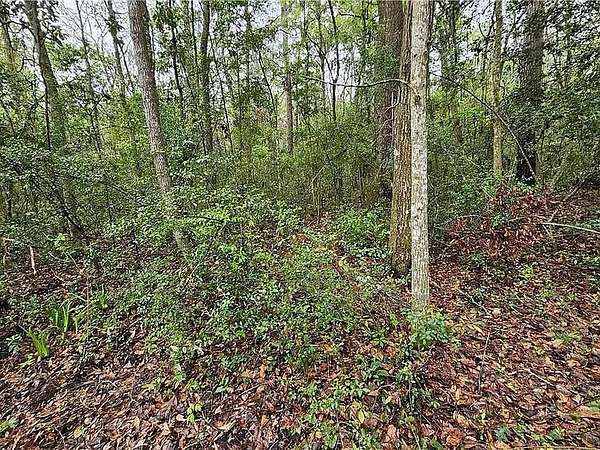 21 Acres of Land for Sale in Brunswick, Georgia
