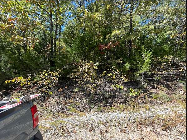 0.11 Acres of Recreational Land for Sale in Henderson, Arkansas