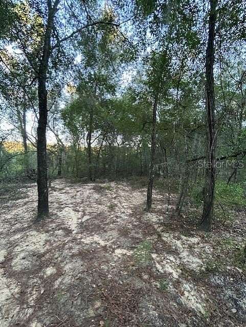 0.23 Acres of Residential Land for Sale in Interlachen, Florida