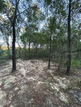 0.23 Acres of Residential Land for Sale in Interlachen, Florida