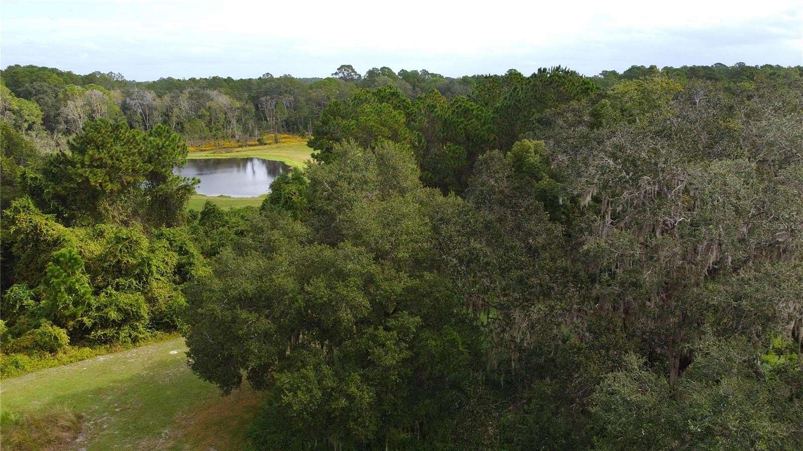 10 Acres of Land for Sale in Ocklawaha, Florida