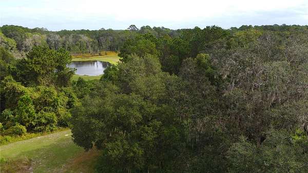 10 Acres of Land for Sale in Ocklawaha, Florida