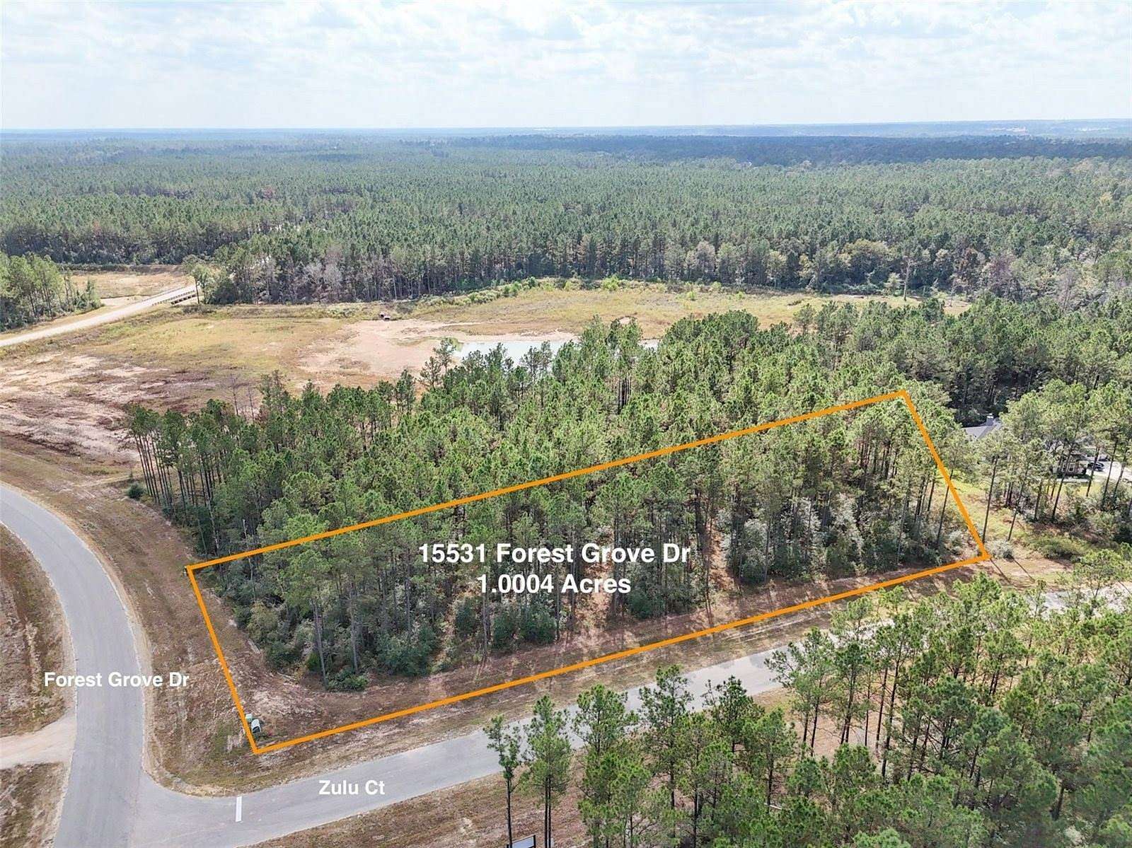 1 Acre of Residential Land for Sale in Willis, Texas