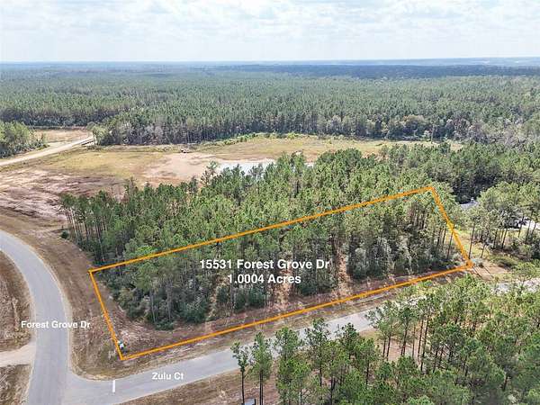 1 Acre of Residential Land for Sale in Willis, Texas