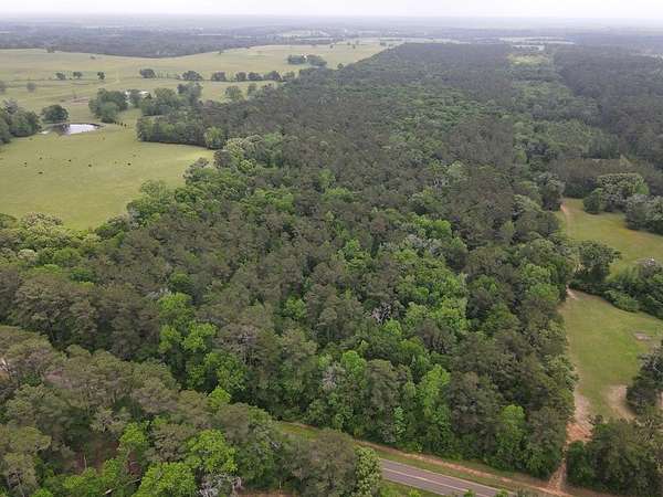 161 Acres of Land for Sale in Crockett, Texas