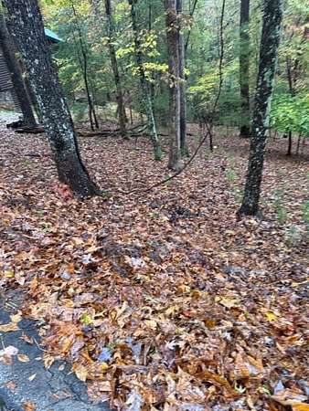 0.5 Acres of Land for Sale in Ellijay, Georgia