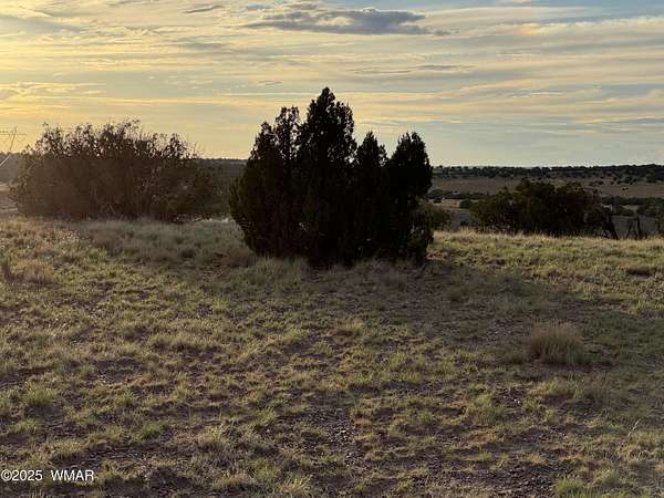 38.4 Acres of Recreational Land for Sale in Concho, Arizona