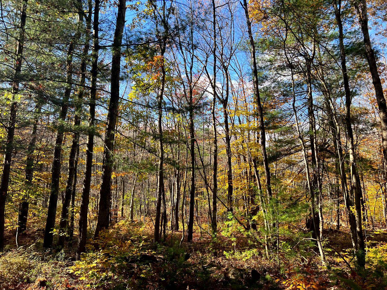 15.1 Acres of Recreational Land for Sale in Vienna, New York