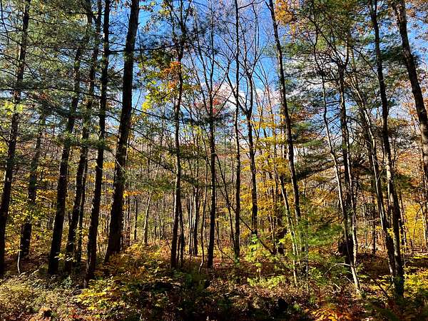 15.1 Acres of Recreational & Residential Land for Sale in Vienna, New York