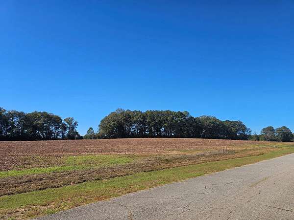 8 Acres of Land for Sale in Red Level, Alabama