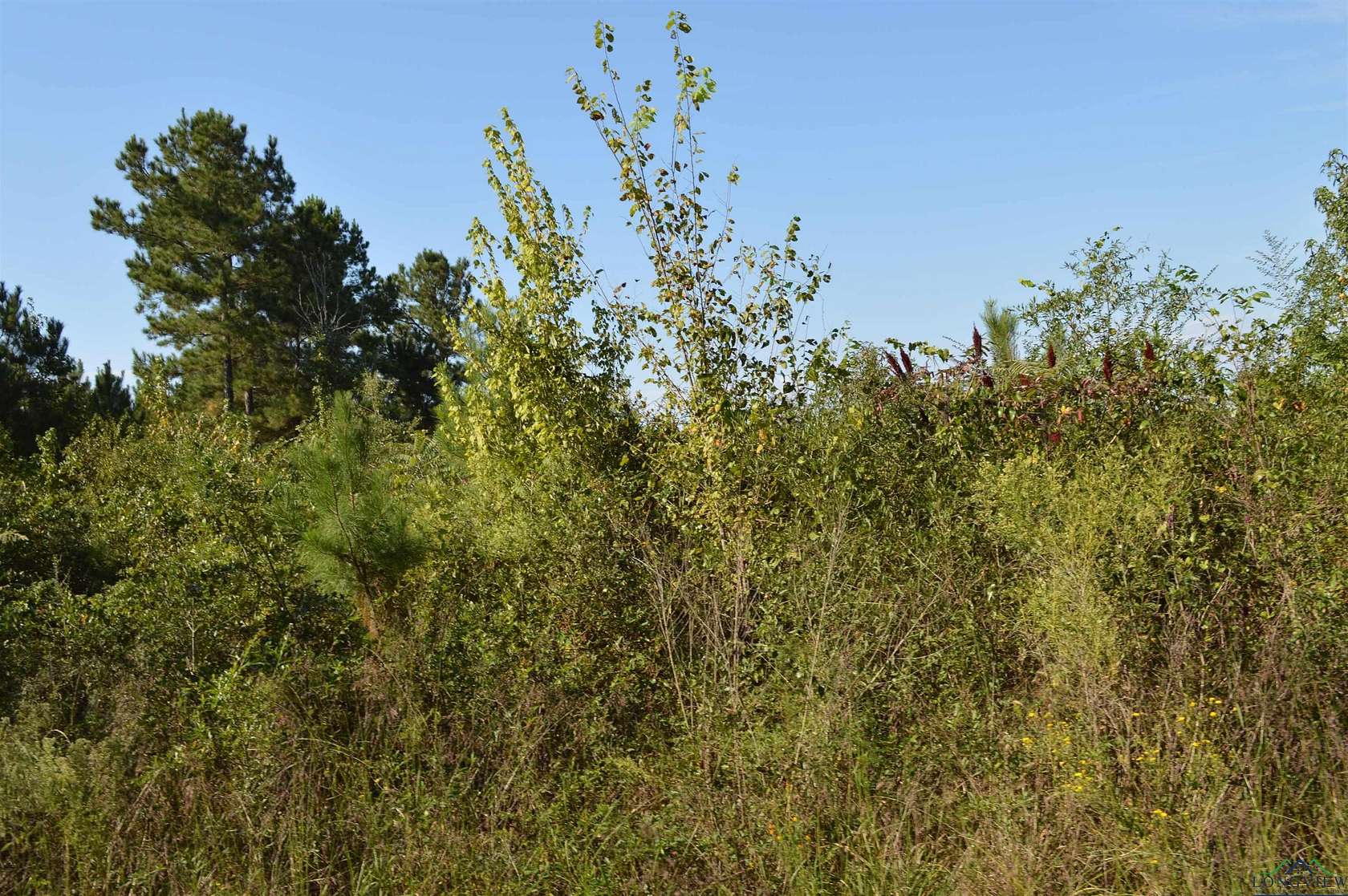 19 Acres of Land for Sale in Jefferson, Texas