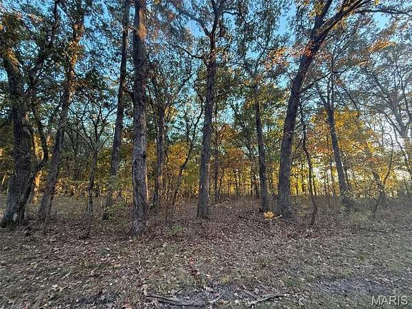5 Acres of Residential Land for Sale in St. Peter, Illinois