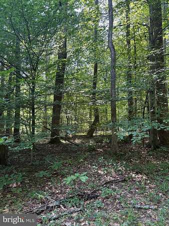 4 Acres of Residential Land for Sale in Mechanicsville, Maryland