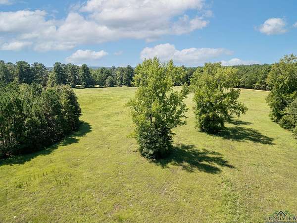 11.6 Acres of Land for Sale in Big Sandy, Texas