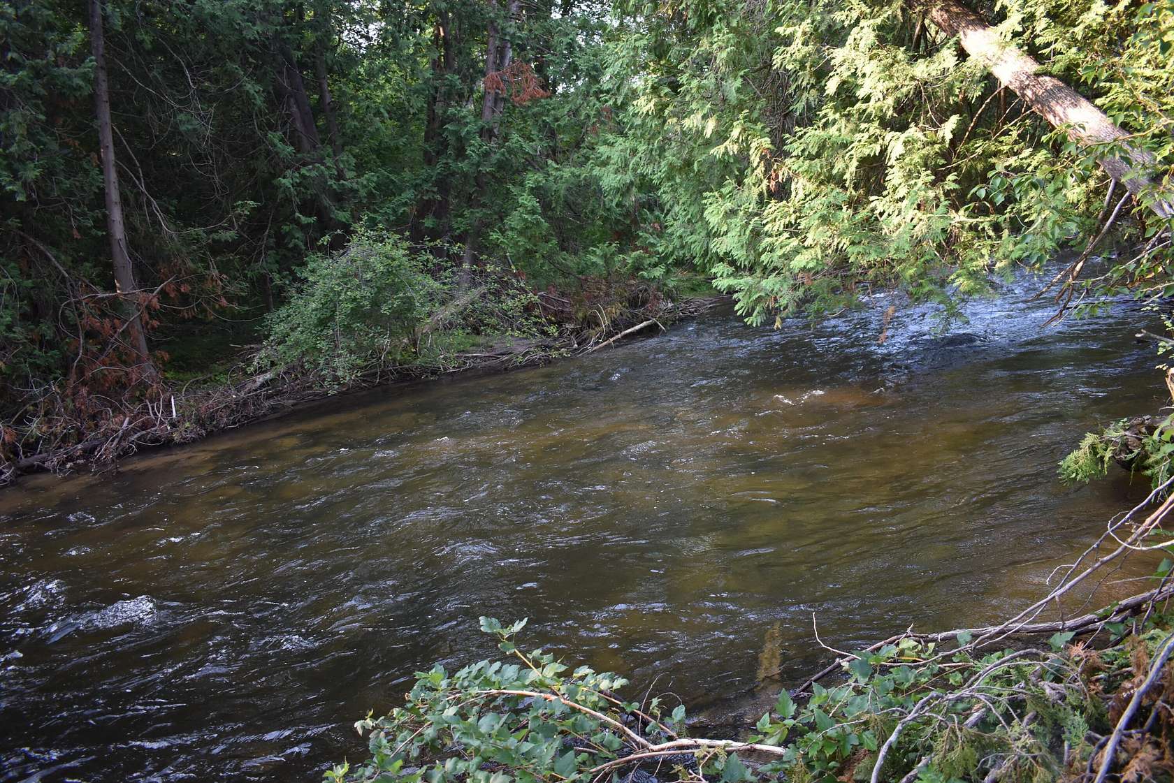 1.5 Acres of Residential Land for Sale in Wolverine, Michigan