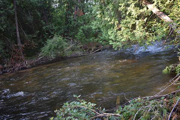 1.5 Acres of Residential Land for Sale in Wolverine, Michigan