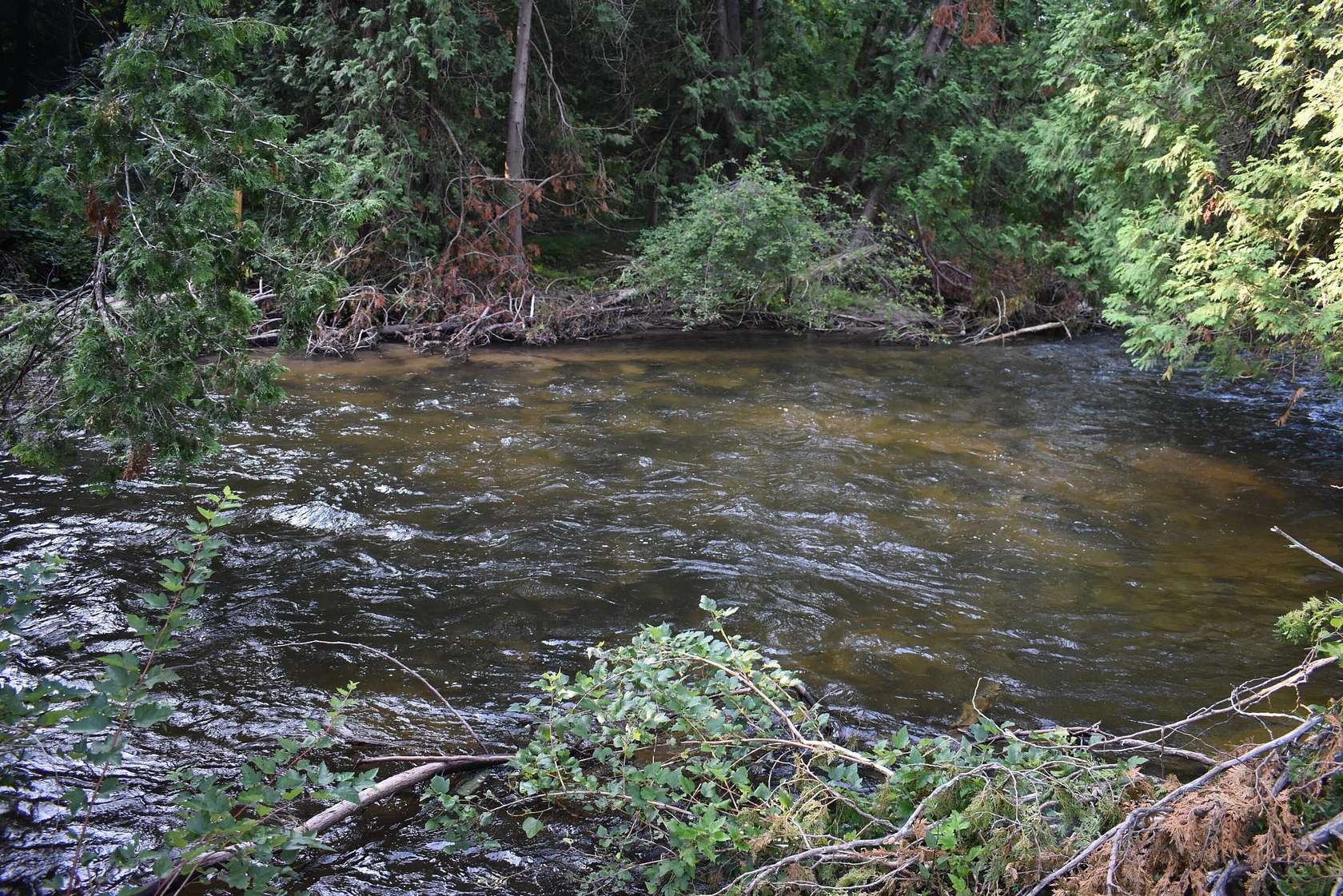 5.1 Acres of Residential Land for Sale in Wolverine, Michigan