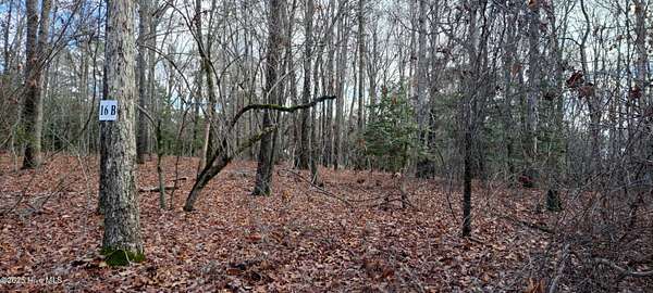 1 Acre of Residential Land for Sale in Carthage, North Carolina