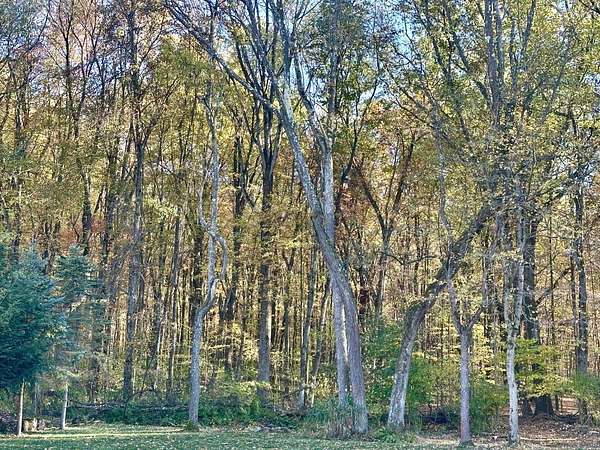 10.6 Acres of Recreational Land for Sale in Hadley, Pennsylvania