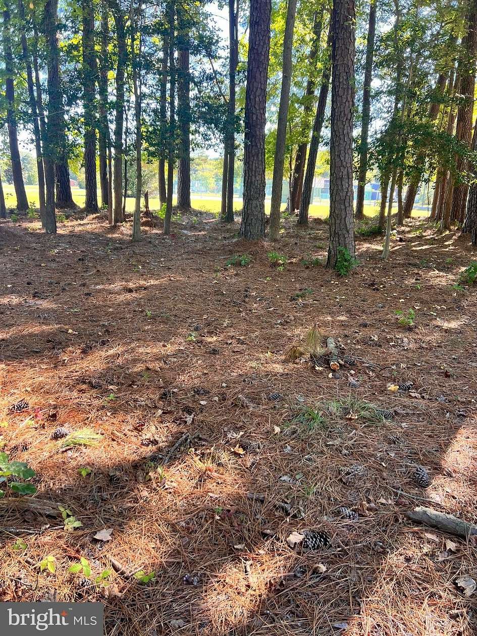 0.25 Acres of Residential Land for Sale in Montross, Virginia