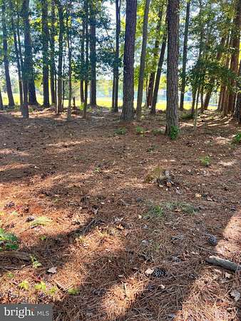 0.25 Acres of Residential Land for Sale in Montross, Virginia