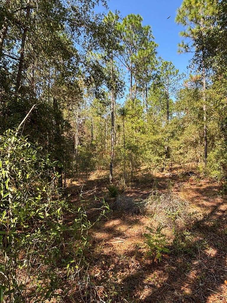 1 Acre of Land for Sale in Bell, Florida