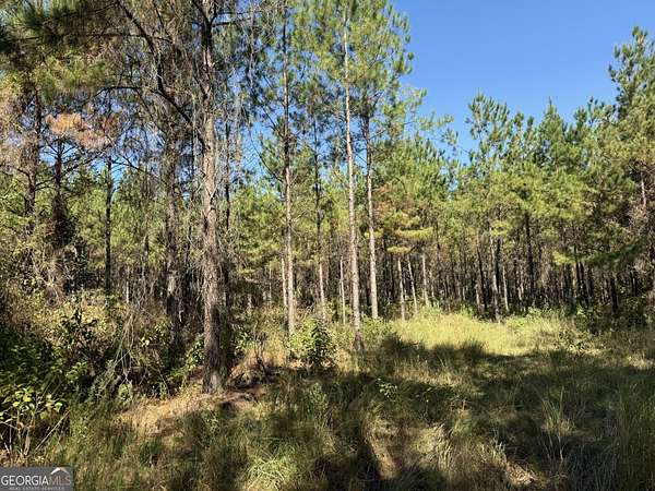 8 Acres of Land for Sale in Gordon, Alabama