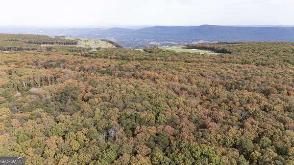 11.4 Acres of Recreational Land for Sale in Menlo, Georgia