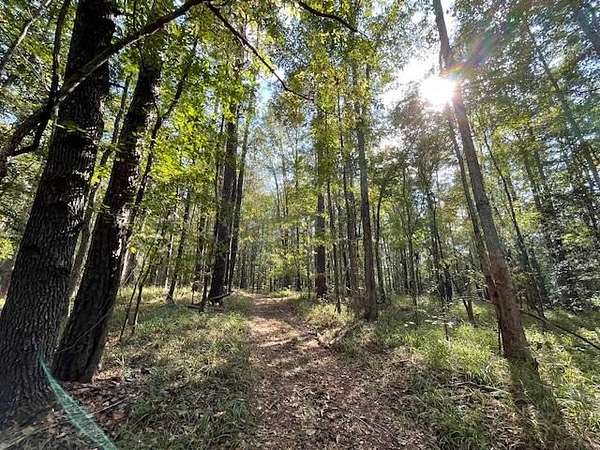 79 Acres of Recreational Land for Sale in Waynesboro, Mississippi
