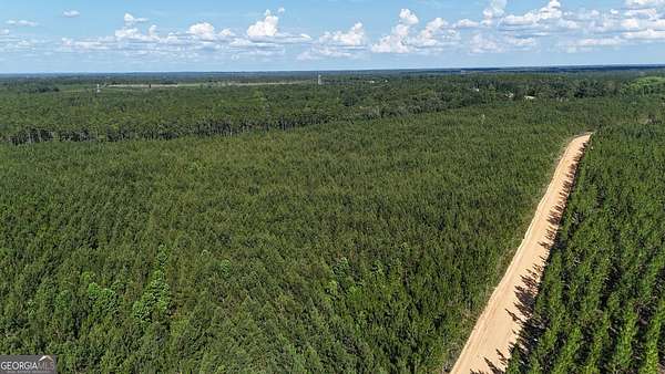 7.28 Acres of Residential Land for Sale in Baxley, Georgia